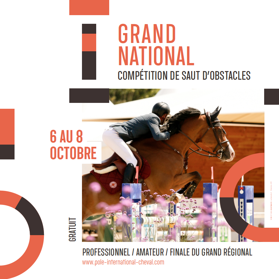 Grand National Ffe Ac Print P Le International Du Cheval Longines